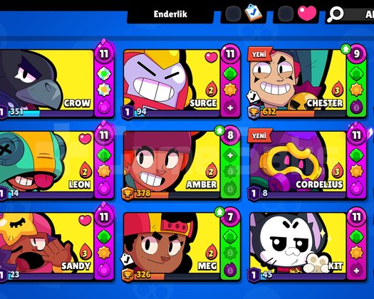 DOLULAR DOLUSU FULL+FULL BS HESABI