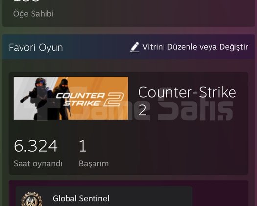 FACEİT 10 LV MAİN HESAP