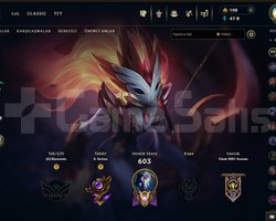 EUW 267 LEVEL MAİLLİ HANDMADE 141 SKİNLİ