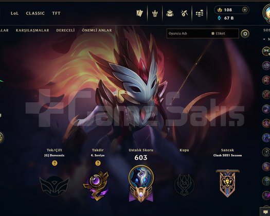 EUW 267 LEVEL MAİLLİ HANDMADE 141 SKİNLİ
