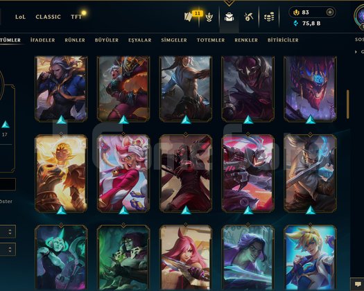 TR / 116 LEVEL / 48 SKİN / 102 HERO