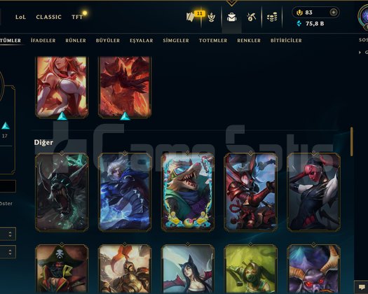 TR / 116 LEVEL / 48 SKİN / 102 HERO