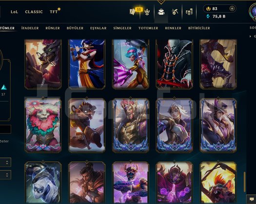 TR / 116 LEVEL / 48 SKİN / 102 HERO