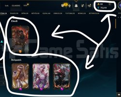 TR / 116 LEVEL / 48 SKİN / 102 HERO