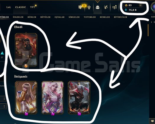 TR / 116 LEVEL / 48 SKİN / 102 HERO