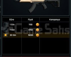 1 AYLIK STORM SATILIR