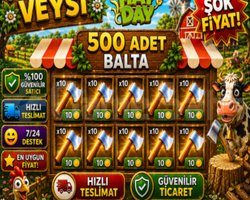 KAMPANYA 500 adet balta