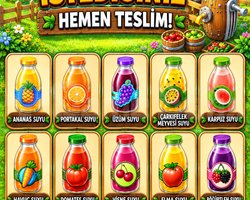 100 Adet Seçeceğiniz Meyve Suları