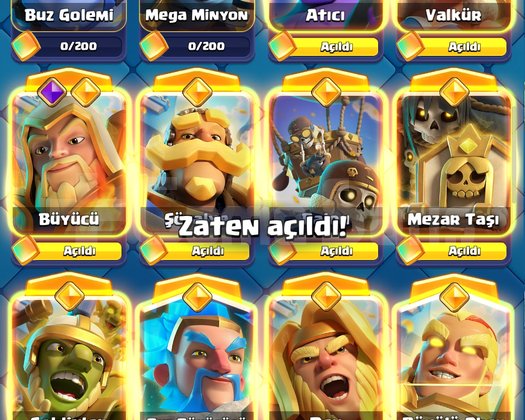 14.000 KUPA+İSİM DEĞİŞTİRME HAKKI