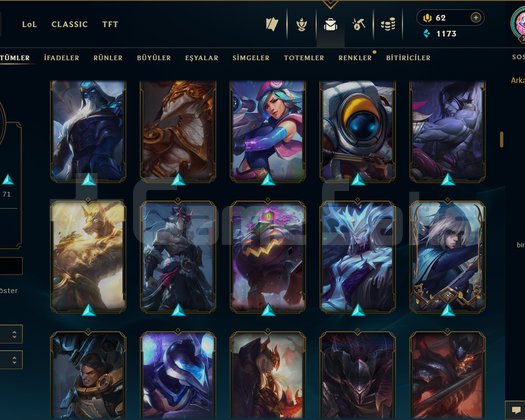 246 LEVEL / 185 SKİN / 129 HERO