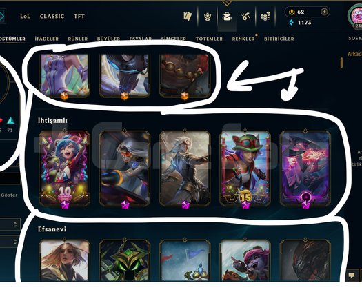 246 LEVEL / 185 SKİN / 129 HERO