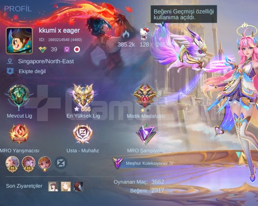 666YILDIZ/ANGELA, FLORYN COLLECTOR
