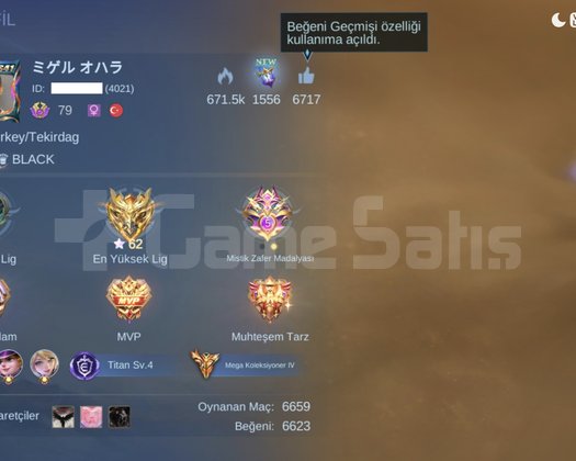 YOKBÖYLE HESAP BOL SEÇKİNLİ TR ID MEGA 4