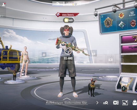 pubg hesap satılık