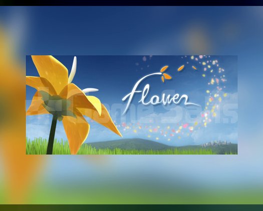 OTO KOD - Flower