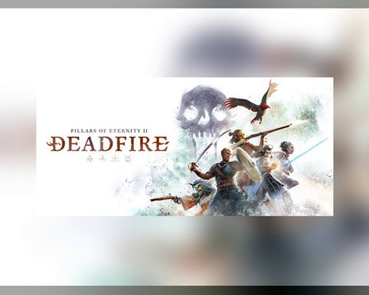 Pillars of Eternity II Deadfire