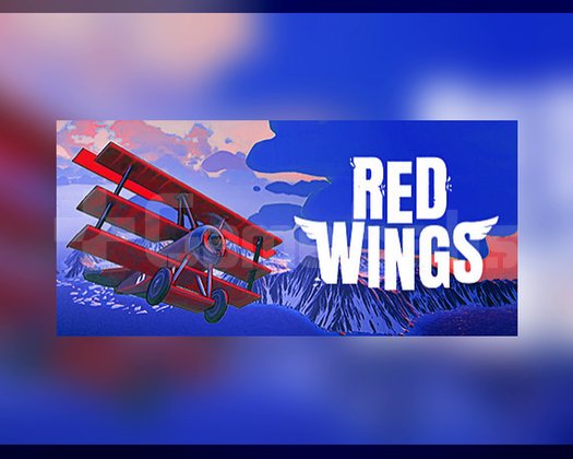OTO KOD - Red Wings