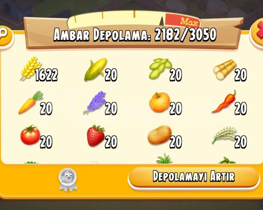 +60 LEVEL +2300 / +3000 HESAP