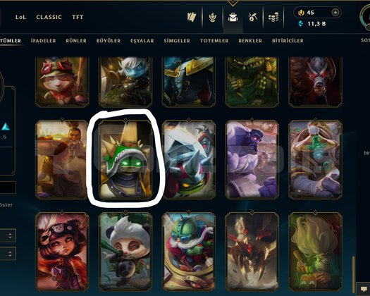 EUW / 2009 KURULUM / KARA ALİSTAR