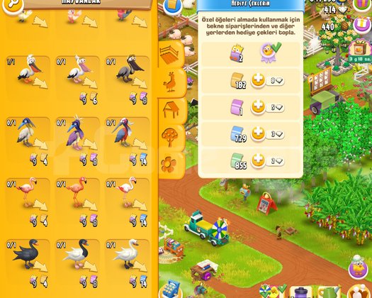 227 Level 25050 Depolu Hesap