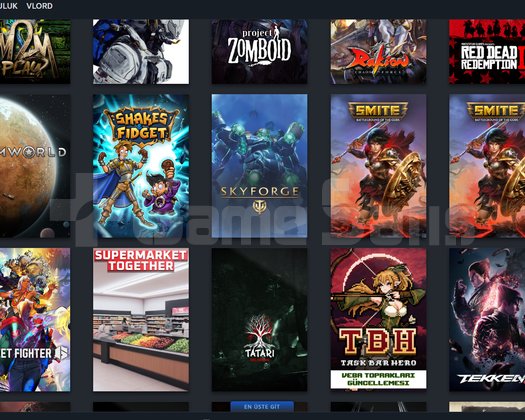 STEAM HESABI  30+ DEĞERLİ OYUN