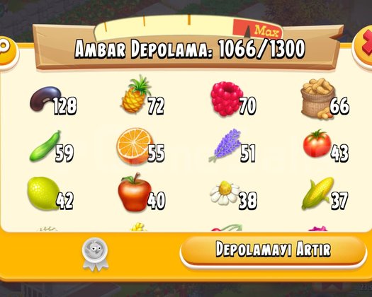 75Seviye Dolu hesap