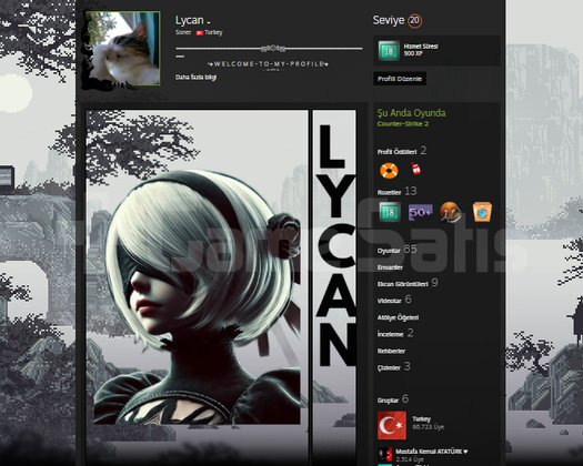10 Madalyalı 85 Oyunlu Steam Hesabı