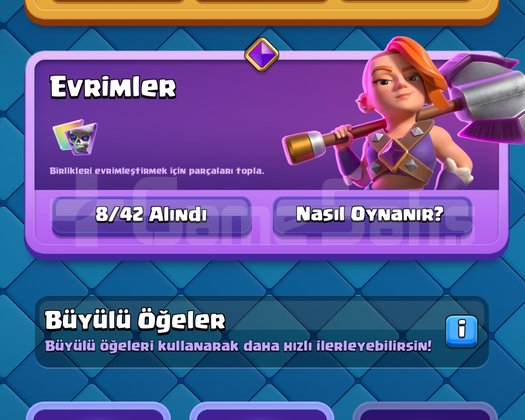 6600 kupa 8 evrim