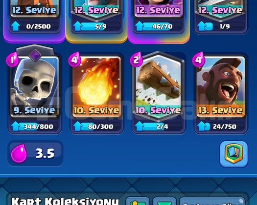6600 kupa 8 evrim