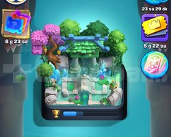 6600 kupa 8 evrim