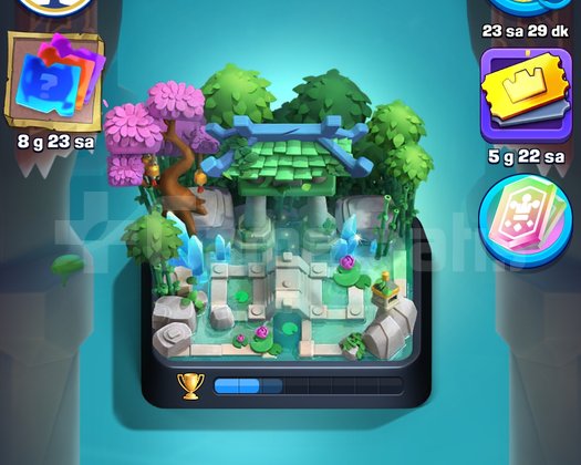 6600 kupa 8 evrim