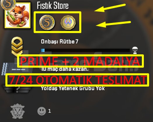 OTO | PRİME + 2-MADALYA + FACEİT + GTA V