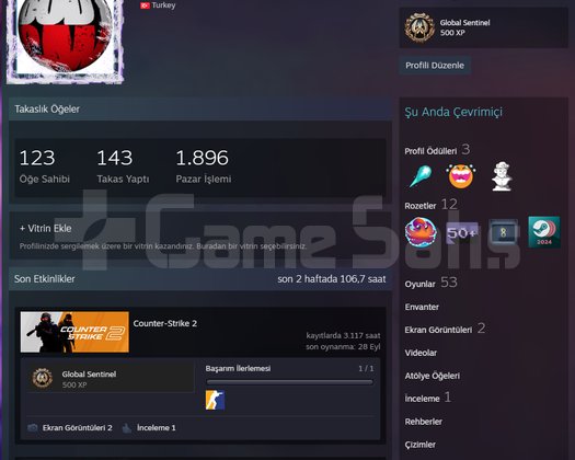 14 MADALYALI 25 LVL STEAM EMEK HESAP