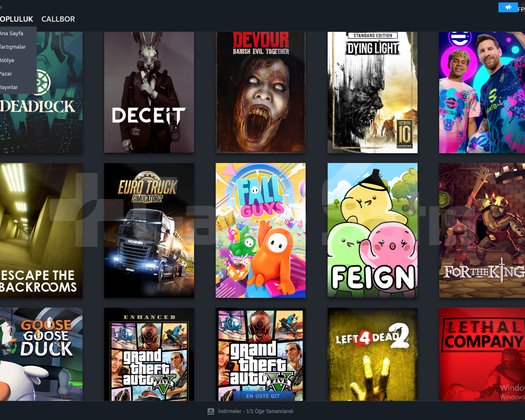 14 MADALYALI 25 LVL STEAM EMEK HESAP