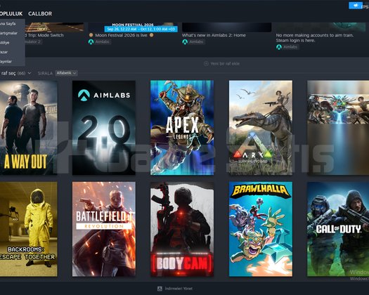14 MADALYALI 25 LVL STEAM EMEK HESAP