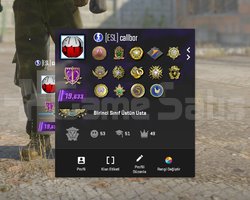 14 MADALYALI 25 LVL STEAM EMEK HESAP