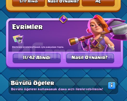 4 Pass satin alımlı dolu hesap