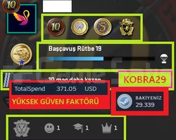 FACEİT+4 MADALYA 48 WİN 161 SAAT