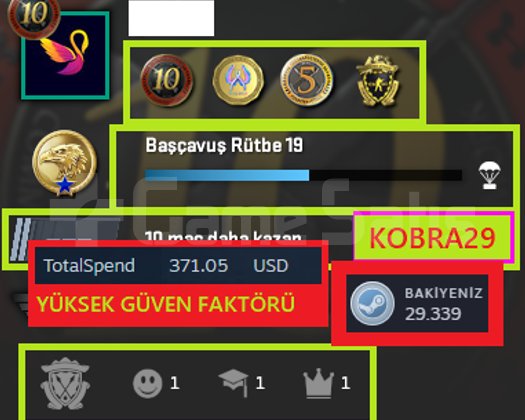FACEİT+4 MADALYA 48 WİN 161 SAAT