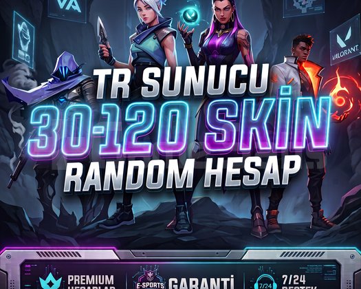 TR | 30 - 120 SKİN HESAPLAR / BOŞ YOK