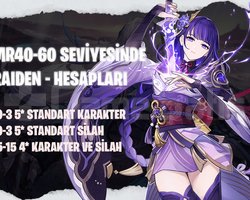 EU | MR40+ Raiden Shogun
