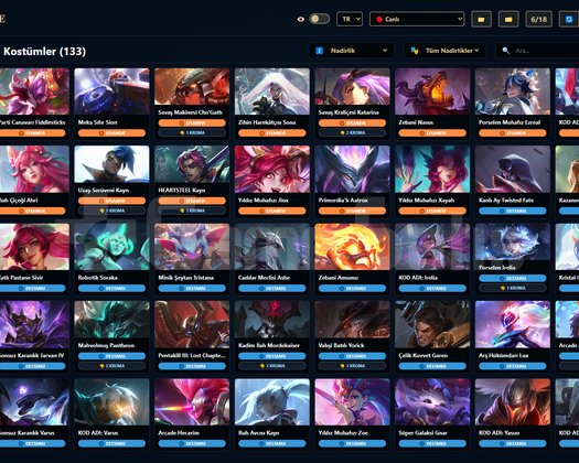 TR / 223 LVL + 133+2 SKİN + Bronz 1