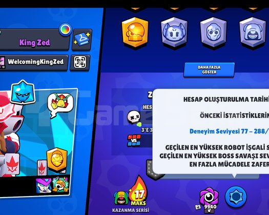 2019 açılımlı hesap