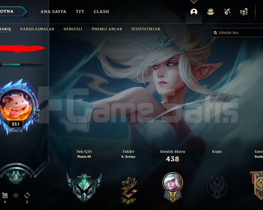 251 lvl plat hesap