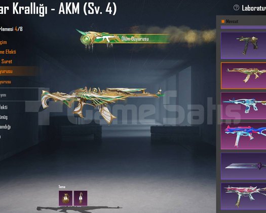 S3 S4 RP Lİ GÖREV B