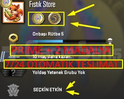 OTO | PRİME + 2-MADALYA + FACEİT + MAİL