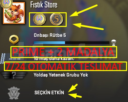 OTO | PRİME + 2-MADALYA + FACEİT + MAİL
