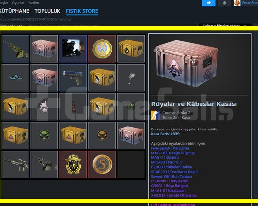 OTO | PRİME + 3-MADALYA + FACEİT + 500TL