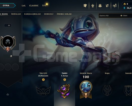 HANDMADE- MAİL ONAYSIZ - UNRANKED HESAP