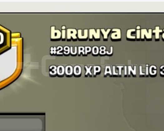 10 SEVİYE ALTIN 3 KLAN! birunya
